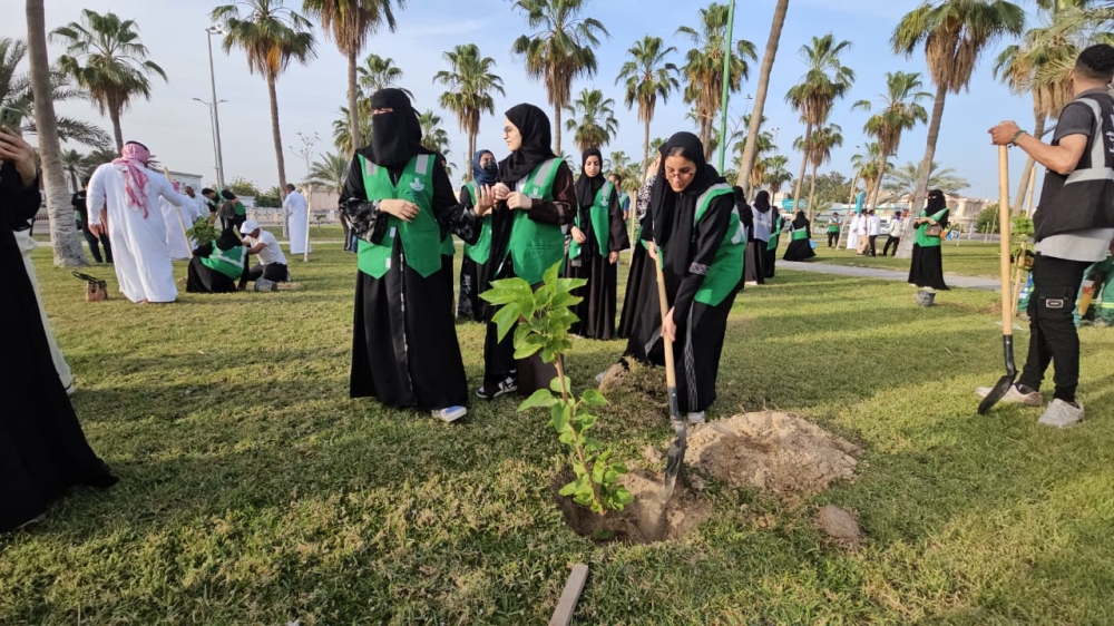 القطيف.-80-متطوعاً-في-حملة-لزراعة-التوت-البلدي-بالمحافظة