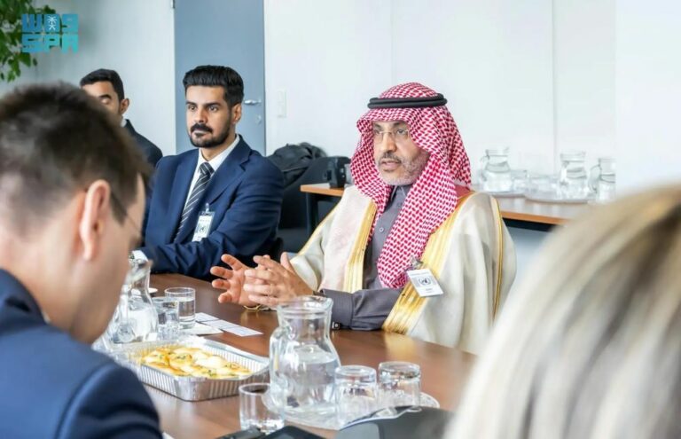 مساعد-وزير-الصناعة-للتخطيط-والتطوير-يبحث-تعزيز-التعاون-مع-الأمم-المتحدة-للتنمية-الصناعية