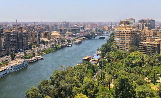 مصر-–-قلق أممي بشأن-مشروع-قانون-الإجراءات-الجنائية