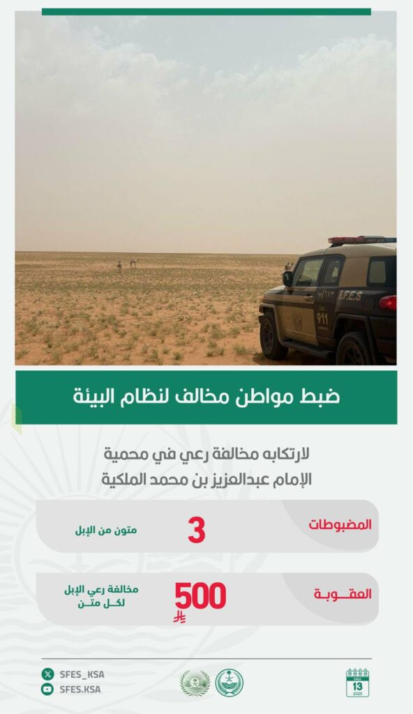 القبض-على-مواطن-لرعيه-عددًا-من-الإبل-في-محمية-الإمام-عبدالعزيز-بن-محمد-الملكية