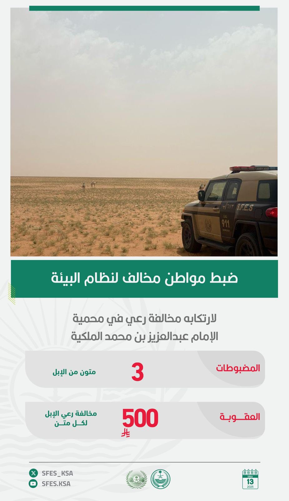 القبض-على-مواطن-لرعيه-عددًا-من-الإبل-في-محمية-الإمام-عبدالعزيز-بن-محمد-الملكية