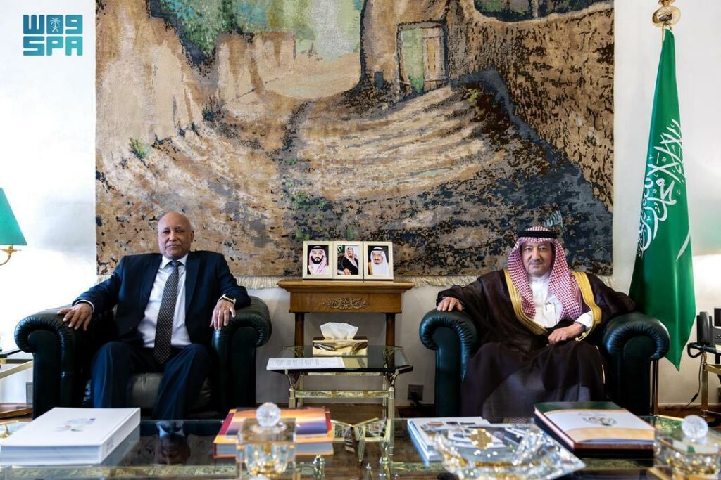 نائب-وزير-الخارجية-يستقبل-سفير-جمهورية-الصومال-لدى-المملكة