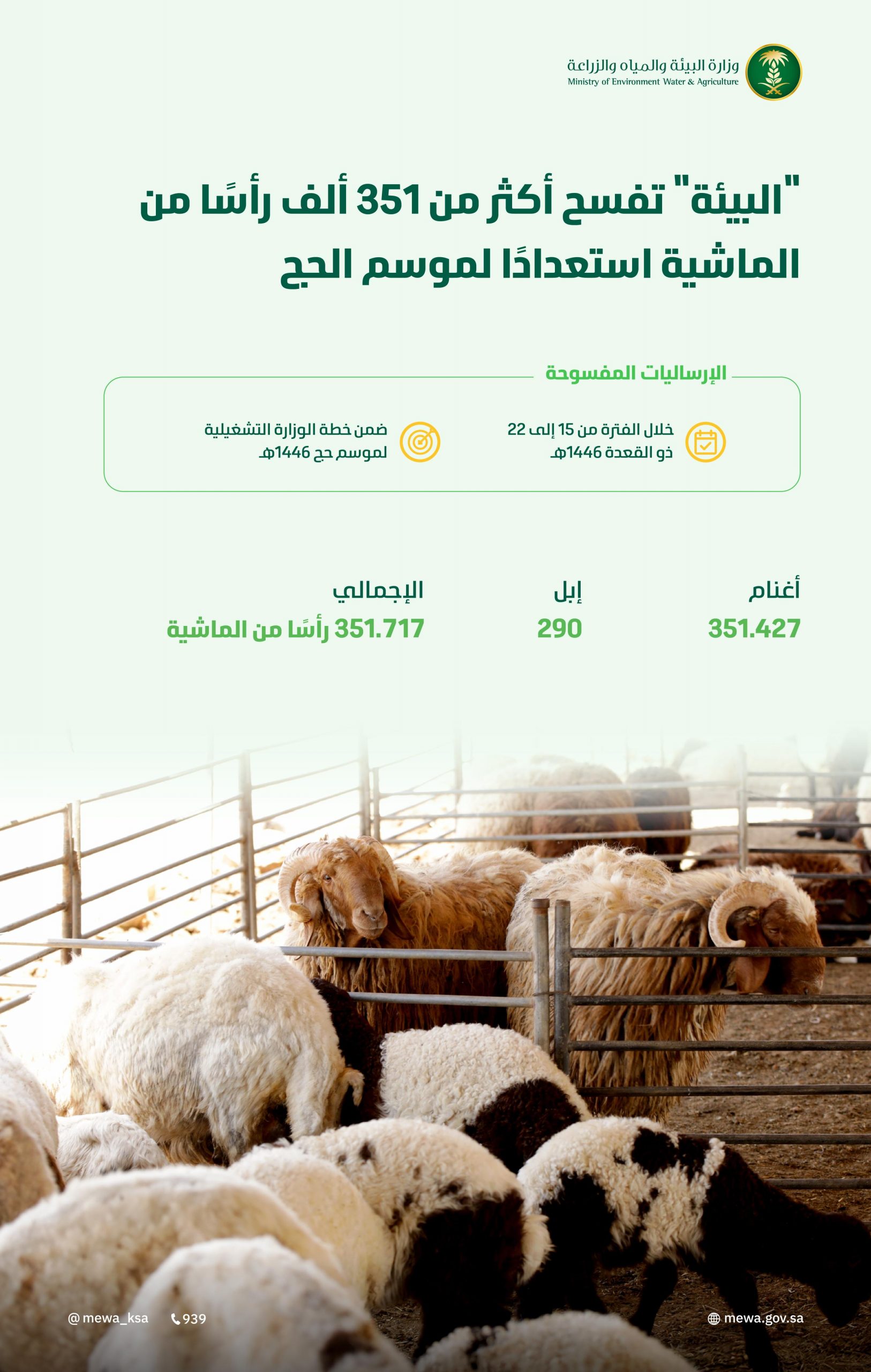 فسح-أكثر-من-351-ألف-رأس-من-الماشية-واكتمال-جاهزية-قطاعات-المنظومة-لموسم-الحج