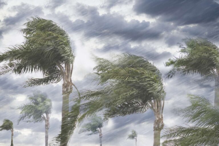 طقس-الأربعاء.-رياح-نشطة-على-أجزاء-من-المنطقة-الشرقية