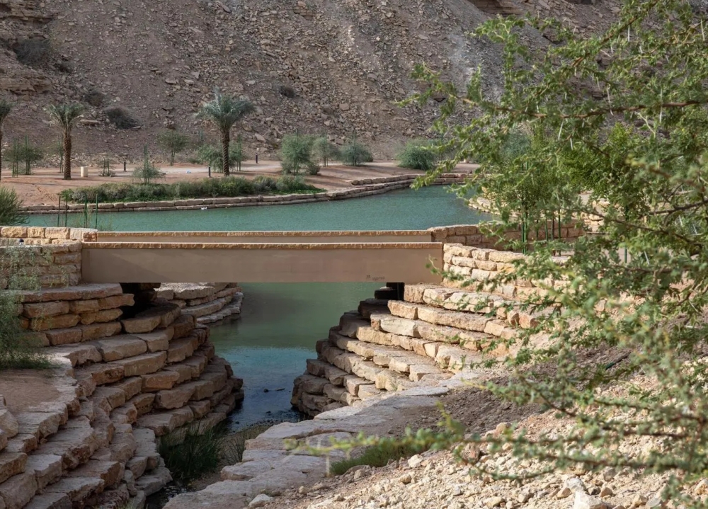 “شعيب-غذوانة”.-لوحة-صيفية-خضراء-تنبض-بالحياة-في-قلب-الرياض