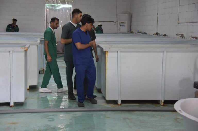 تجارب-ميدانية.-تدريب-طلبة-الجامعات-في-مجالات-الثروة-السمكية-والمياه-بالشرقية