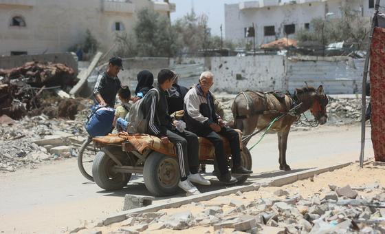 غزة-–-نزوح-1,500-عائلة-من-شمال-القطاع،-وتضاؤل-فرص-التصدي-للجوع