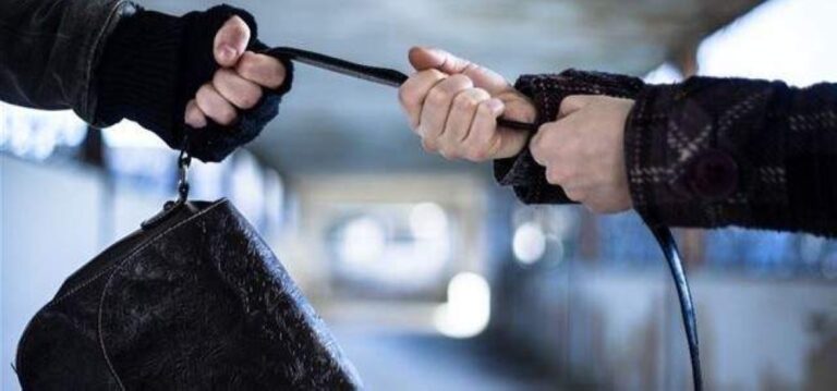 سرقة-حقائب-يد-بمليون-يورو-من-متجر-في-باريس.-ما-القصة؟