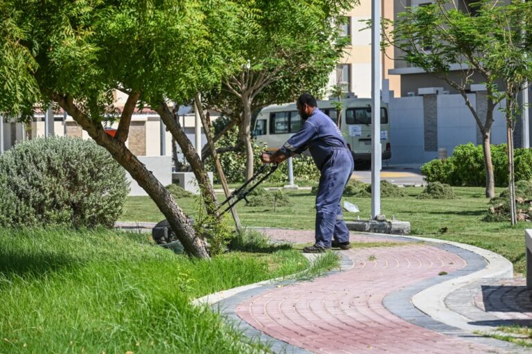 صيانة-بيئية-شاملة-تحوّل-حدائق-الظهران-إلى-متنفس-للعائلات