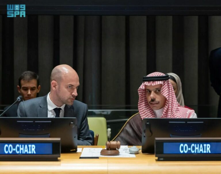 وزير-الخارجية-يعتمد-الوثيقة-الختامية-لمؤتمر-حل-الدولتين-ويدعو-جميع-الدول-لتأييدها