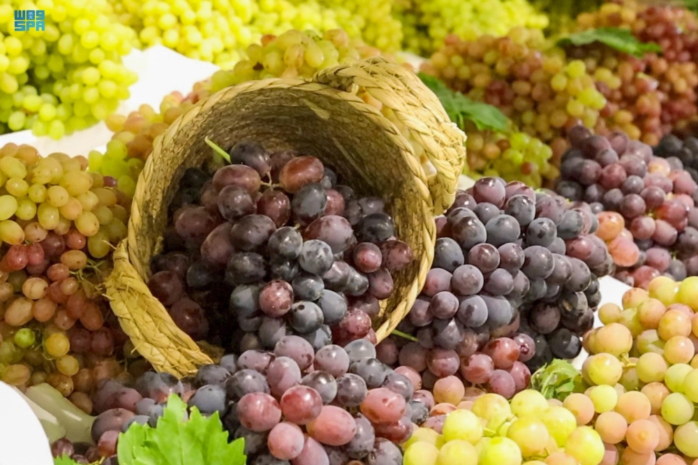 العنب-في-القصيم.-محصول-يرفع-كفاءة-الإنتاج-ويحقق-الأمن-الغذائي