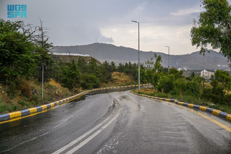 أمطار-رعدية-على-بعض-مناطق-المملكة