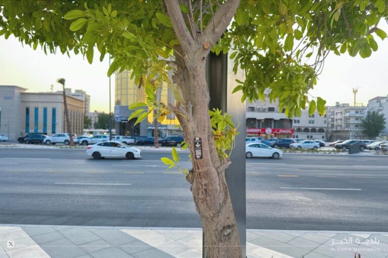 عاجل:-إطلاق-مشروع-رقمنة-100-ألف-شجرة.-الخبر-أول-مدينة-خضراء-ذكية