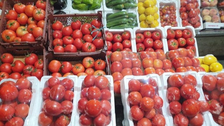 «البيوت-المحمية»-ترفع-إنتاج-مزارع-الشرقية-بنسبة-30-%