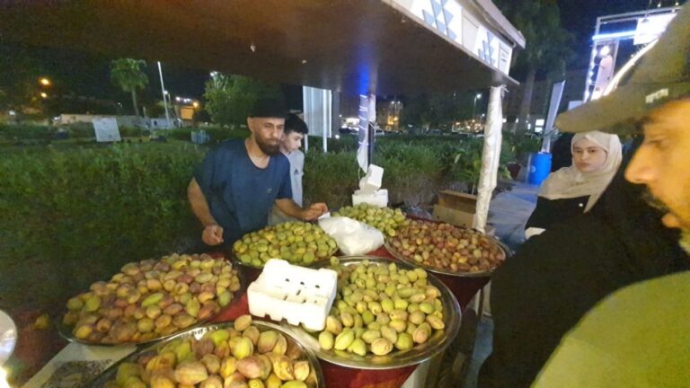 صور-|-اللوز-القطيفي.-محصول-موسمي-يدخل-في-العديد-من-الصناعات