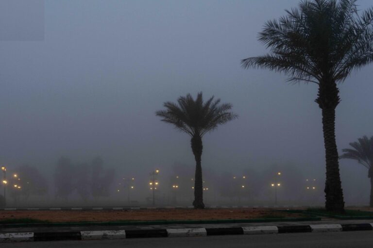 طقس-الصباح-الباكر.-ضباب-خفيف-على-أجزاء-من-المنطقة-الشرقية