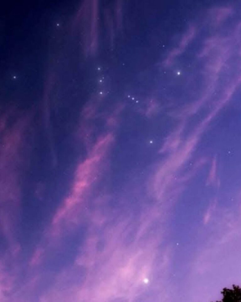 فلكية-جدة:-الجوزاء-والشعرى-يزينان-سماء-الفجر-أواخر-أغسطس
