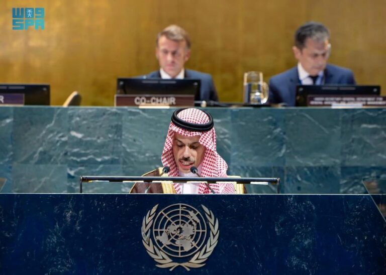وزير-الخارجية-يترأس-مؤتمر-تنفيذ-حل-الدولتين