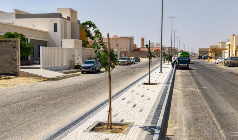 بالصور.-زراعة-5000-شجرة-لتعزيز-جودة-الحياة-في-النعيرية