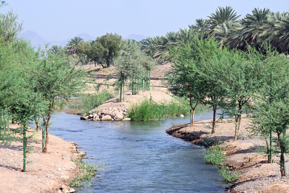 صور-|-وادي-قناة.-رحلة-تاريخية-وسط-الطبيعة-في-المدينة-المنورة
