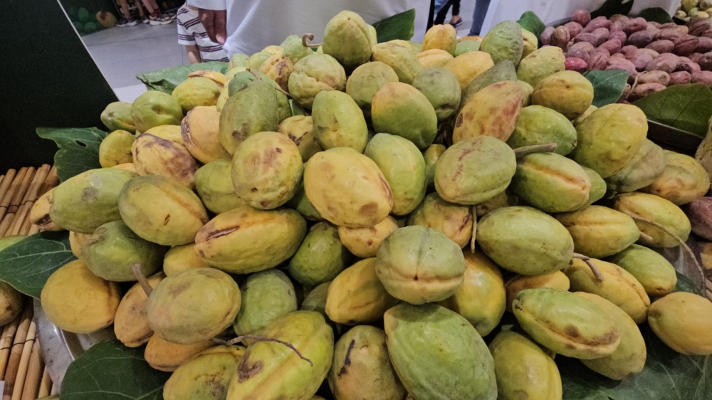 حرفية-سعودية-تبتكر-25-منتجًا-طبيعيًا-من-اللوز-القطيفي