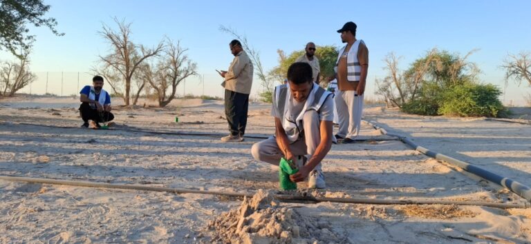 صور-|-بمشاركة-100-متطوع.-مبادرة-لزيادة-الرقعة-الخضراء-بالأحساء