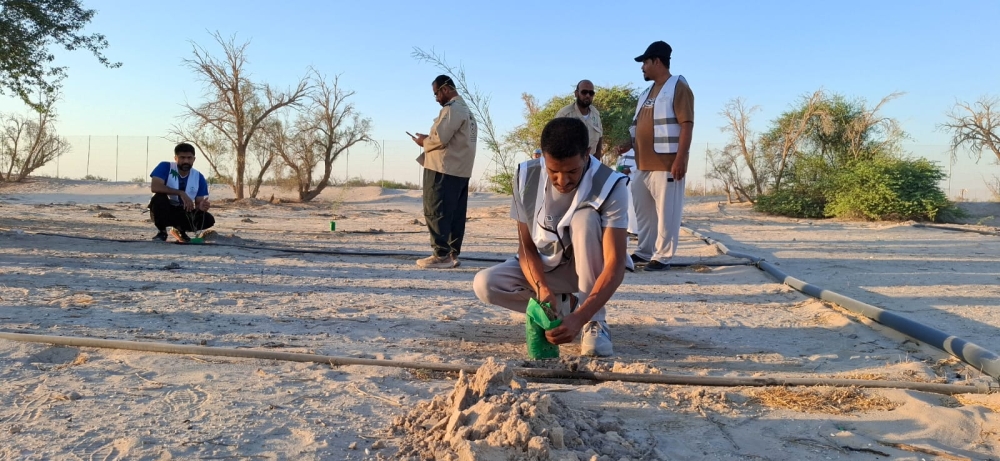 صور-|-بمشاركة-100-متطوع.-مبادرة-لزيادة-الرقعة-الخضراء-بالأحساء