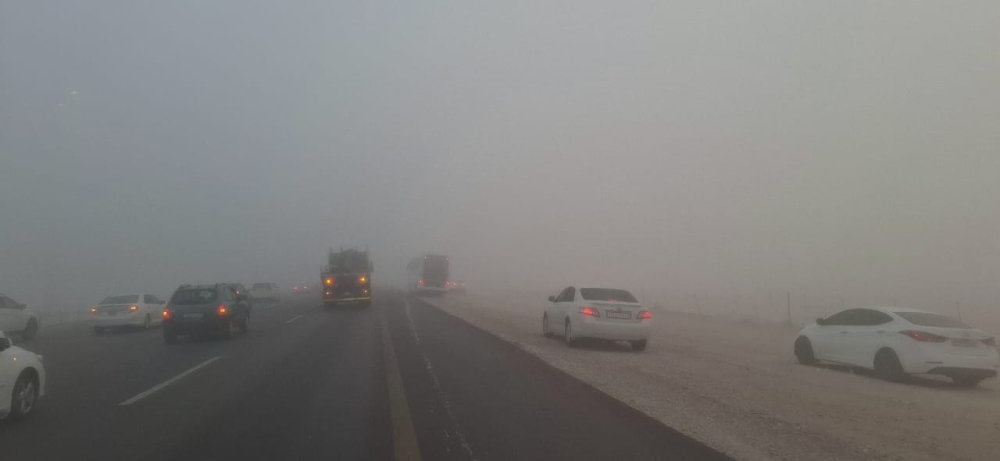 طقس-الصباح-الباكر.-ضباب-متباين-الشدة-على-أجزاء-من-الشرقية
