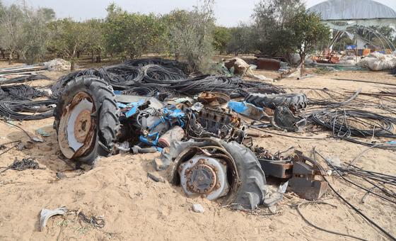 غزة-–-تضرر-نحو-87%-من-الأراضي-الزراعية،-ووقف-إطلاق-النار-“فرصة”-لإعادة-التأهيل