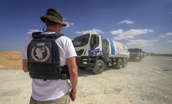 مساعدات-غذائية-تصل-إلى-مليون-شخص-في-غزة-منذ-وقف-إطلاق-النار-وسط-“أمل-هش”