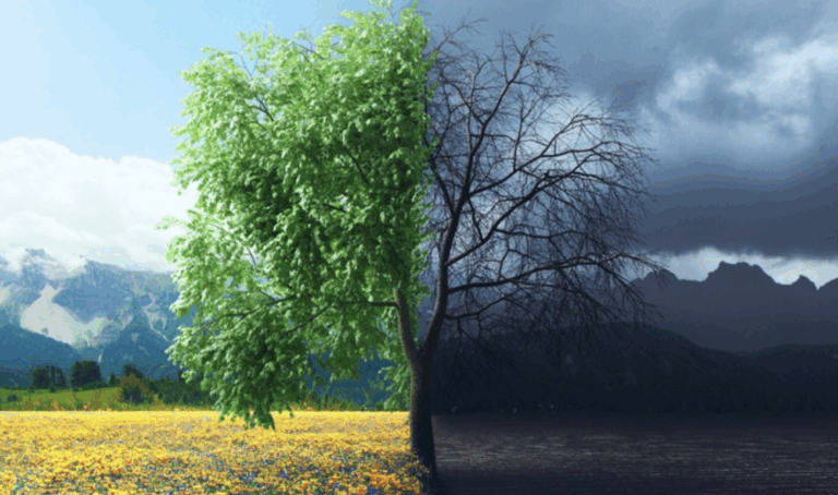 تقرير-أوروبي-يحذر-من-انهيار-البيئة-وحدوث-أزمات-غير-مسبوقة