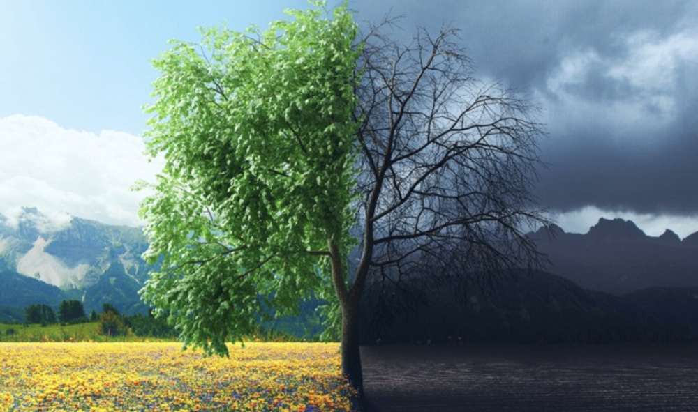 تقرير-أوروبي-يحذر-من-انهيار-البيئة-وحدوث-أزمات-غير-مسبوقة