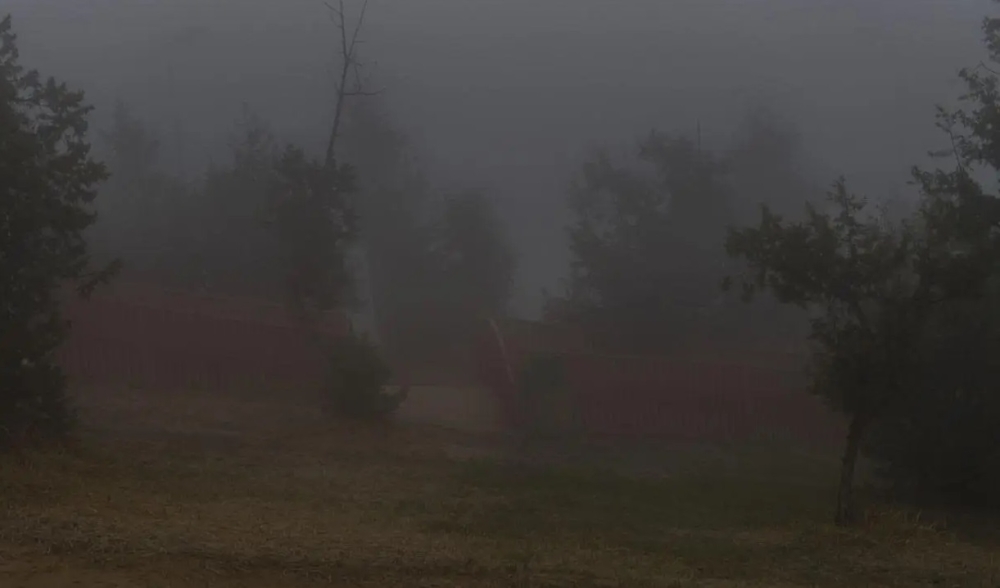 طقس-الصباح-الباكر.-ضباب-متباين-الشدة-على-أجزاء-من-الشرقية