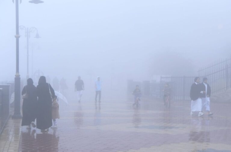 طقس-الصباح-الباكر.-تنبيه-من-ضباب-على-أجزاء-من-الشرقية