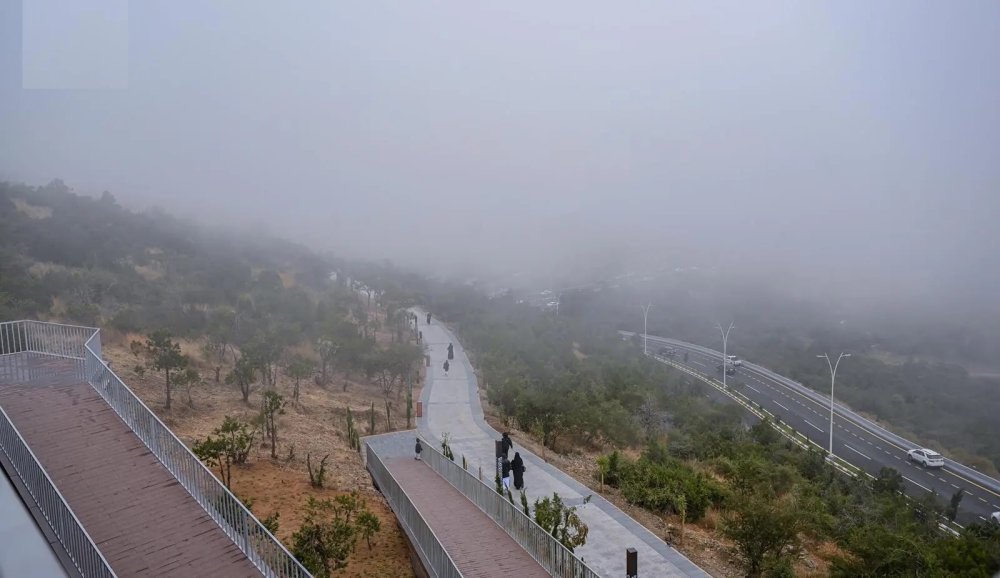 طقس-الصباح-الباكر.-ضباب-خفيف-وتدني-الرؤية-على-أجزاء-من-الشرقية