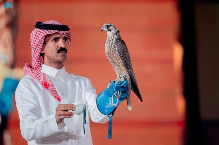 مزاد-نادي-الصقور.-بيع-شاهين-شرورة-بـ351-ألف-ريال-في-الليلة-الـ25