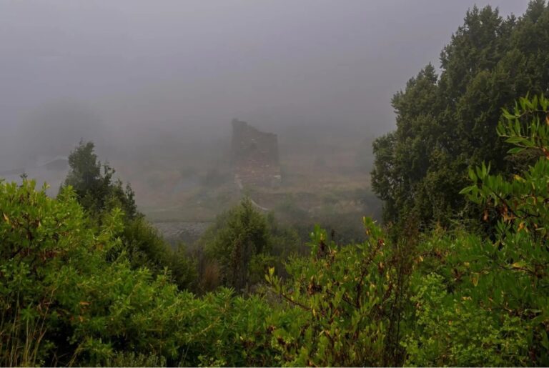 حتى-8-صباحًا.- ضباب متباين-الشدة-على-أجزاء-من-الشرقية