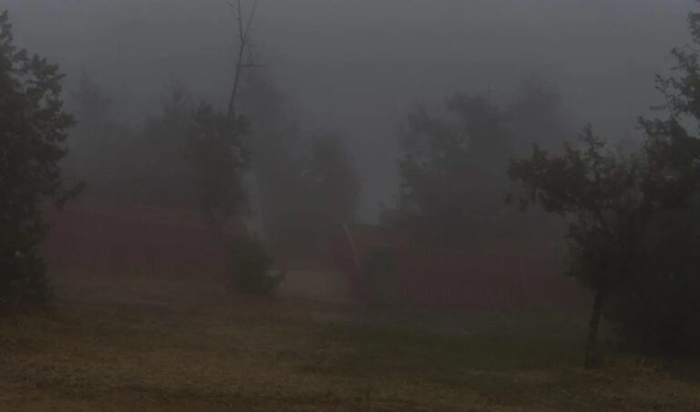 طقس-الأربعاء.-ضباب-على-أجزاء-من-الشرقية-خلال-ساعات-الصباح-الباكر