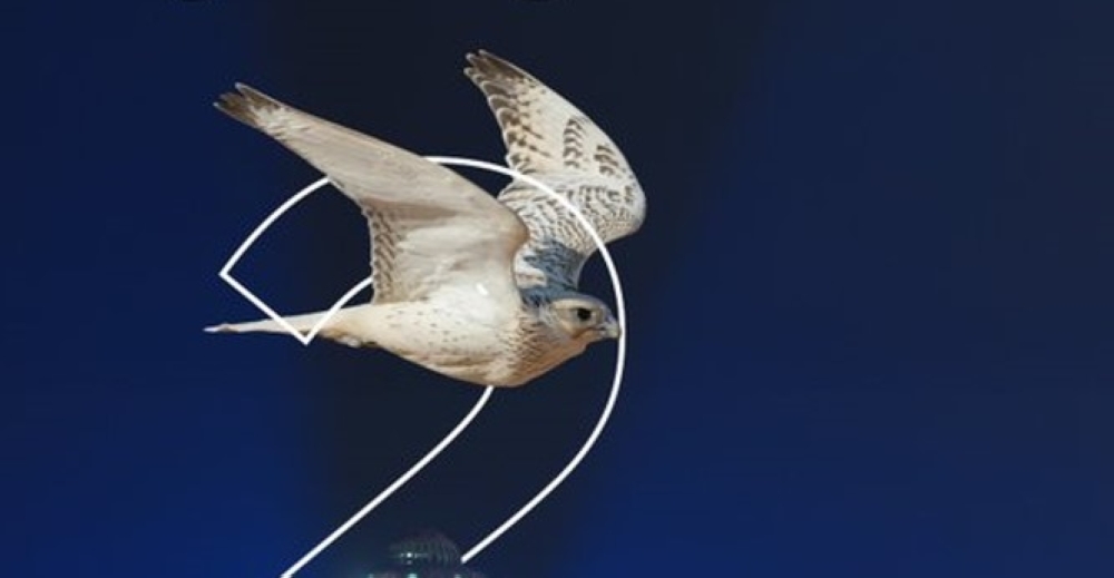 انطلاق-فعاليات-كأس-نادي-الصقور-في-الظهران-إكسبو الأحد-المقبل