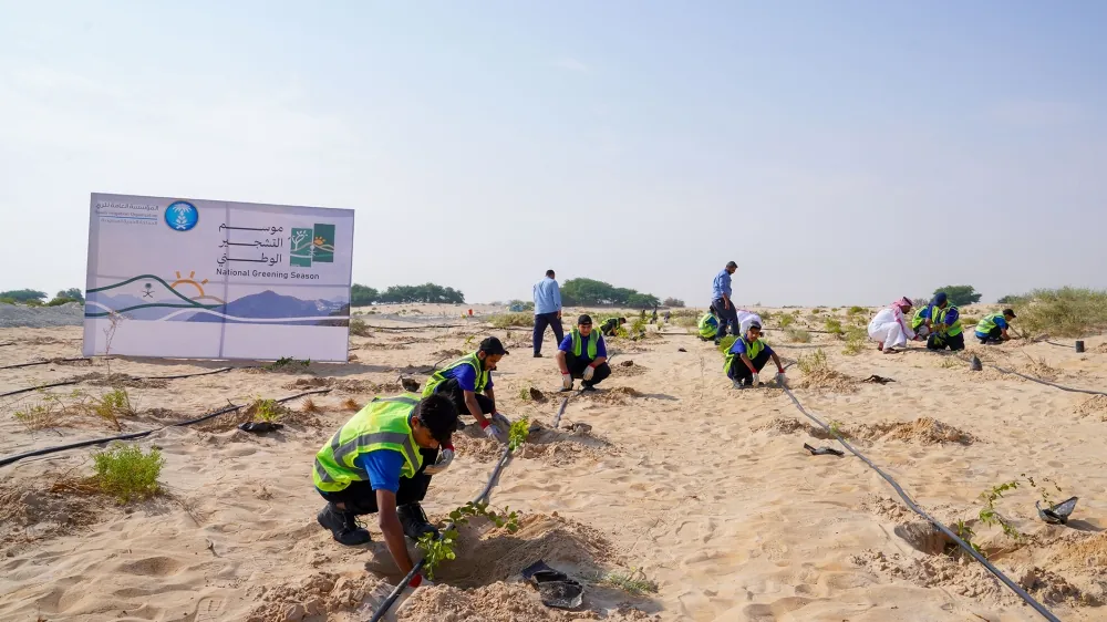 الأحساء.-الري-تُطبق-خطة-استدامة-وتغرس-500-شتلة-في-«الأصفر»