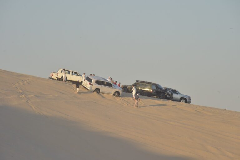 «هاف-مون».-وجهة-«التطعيس»-الخليجية-تبحث-عن-طوق-نجاة-من-العشوائية