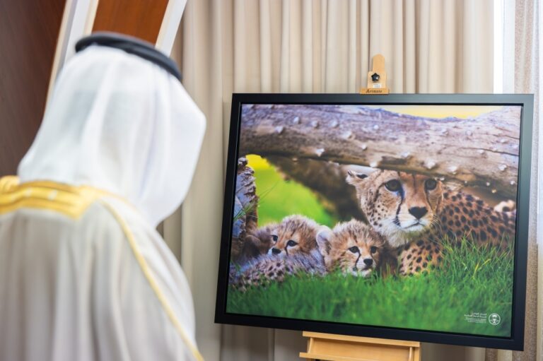 أمير-الشرقية-يطّلع-على-مشاريع-حماية-البيئات-البحرية-في-المنطقة