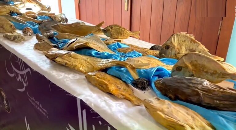 أكثر-من-55-ألف-زائر.-“روبيان-الشرقية-2025”-يختتم-أعماله-في-القطيف