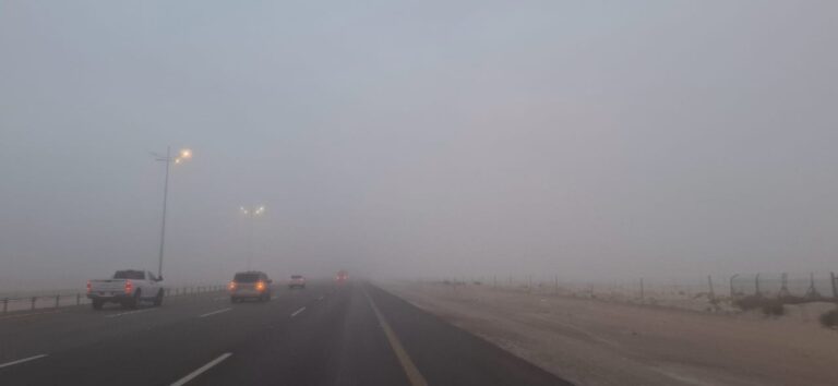 صور|-ضباب-كثيف-في-الأحساء.-انعدام-الرؤية-يربك-سالكي-طريق-بقيق-عاجل