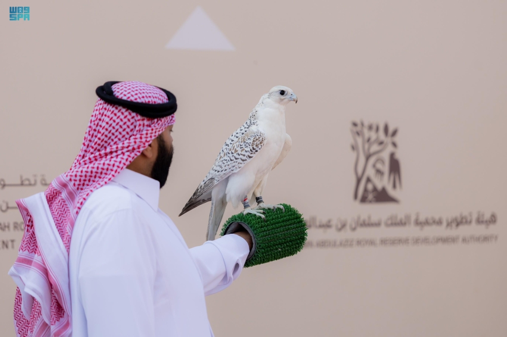 في-يومه-الثالث.-315-صقرًا-تتنافس-بمهرجان-الملك-عبدالعزيز-2025