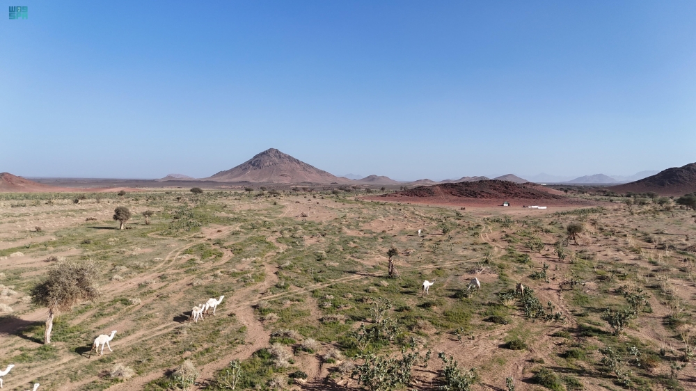 صور|-الطبيعة-الخلابة-تجذب-المتنزهين-إلى-وادي-الجريرة-جنوب-خيبر