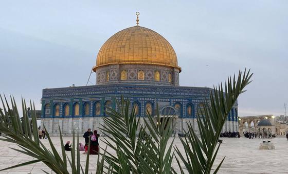 الأمم-المتحدة:-لا-بديل-عن-حل-الدولتين-وغزة-جزء-لا-يتجزأ-من-الدولة-الفلسطينية