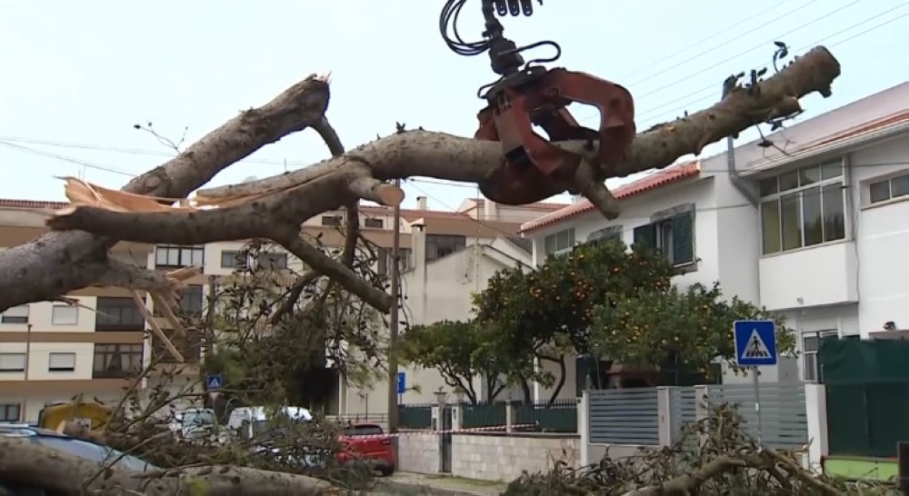 صور-|-4-مليارات-يورو-خسائر.-مشاهد-مرعبة-للعواصف-المدمرة-في-البرتغال