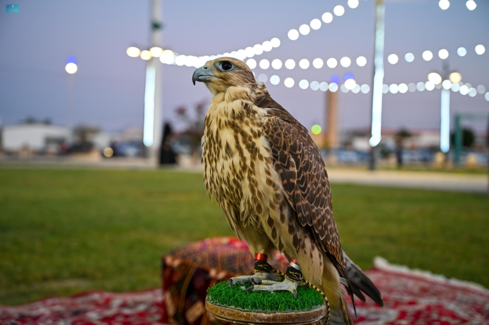 صور|-“الجمري-والصقار-والتنور”-تتصدر-أسبوع-كشتة-البديع