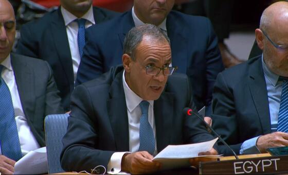 حوار-–-وزير-خارجية-مصر:-لابد-من-تنفيذ-خطة-ترامب-دون-انتقائية،-والانتهاكات-تهدد-الخطة